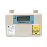 Residential Gas Meter BF-2000