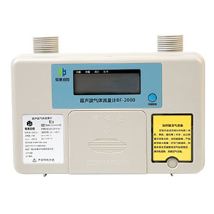 Residential Gas Meter BF-2000.jpg