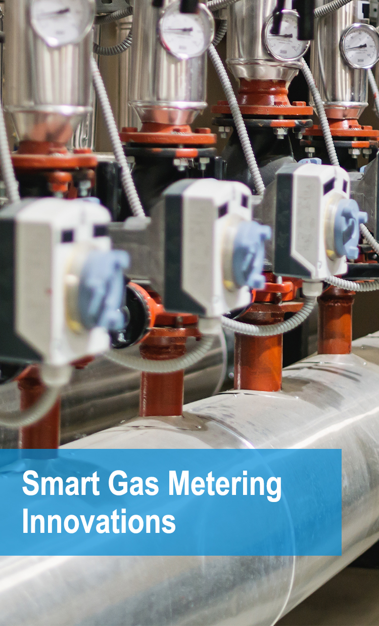 smart gas meter solutions.jpg