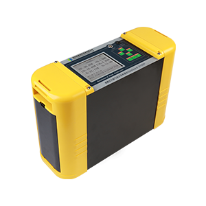 Portable Natural Gas Analyzer Gasboard-3110P.png