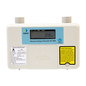 Residential Gas Meter BF-2000.png