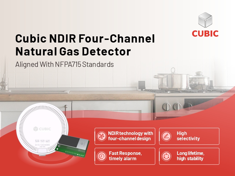 Cubic Natural Gas Safety Alarm Solution Aligned with NFPA 715 Standards.jpg